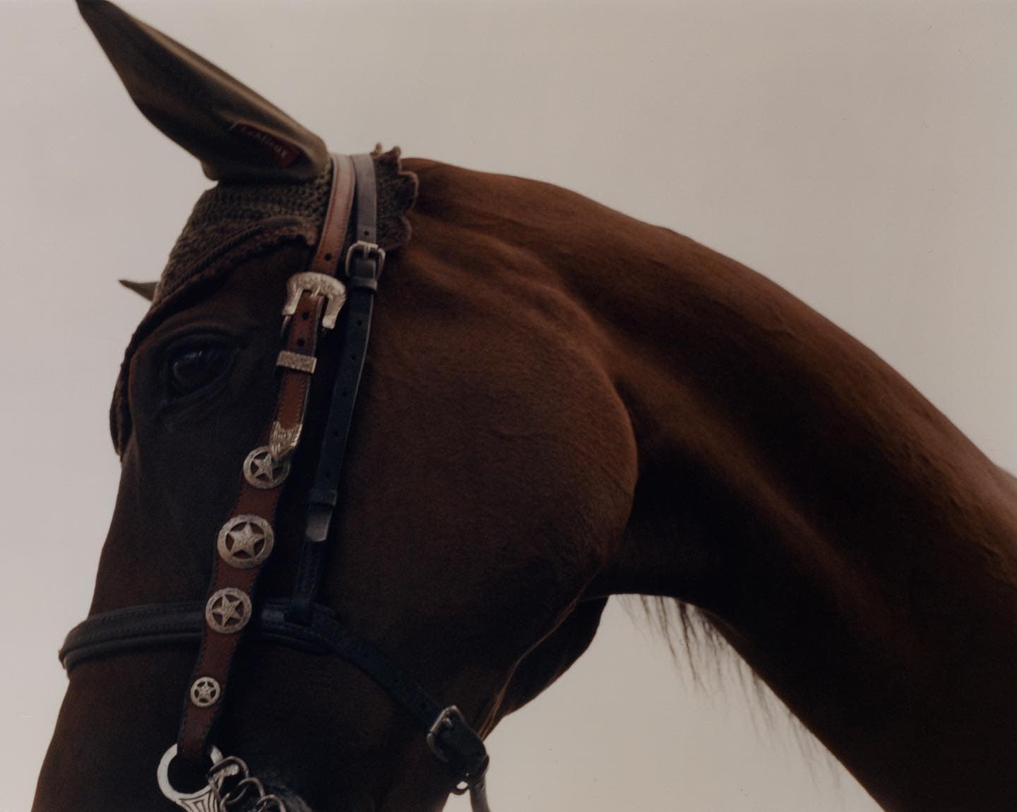 Iniciativas da Fundação